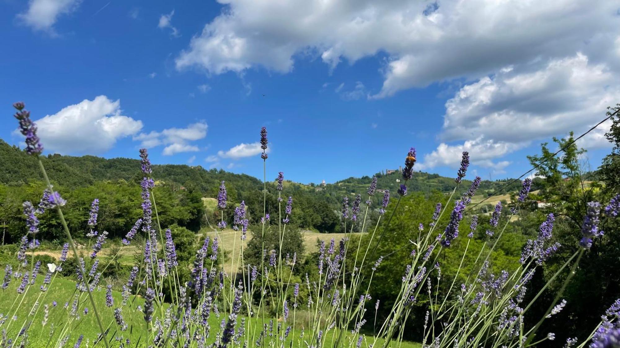 Tenuta San Lorenzo Melazzo Exteriér fotografie